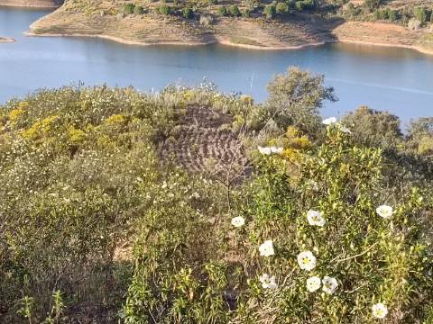 TERRENO RÚSTICO COM 19.280 M2 - VISTA LAGO - ALCARIAS GRANDES - CASTRO MARIM - ALGARVE