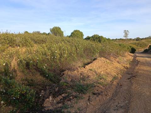 TERRENO RÚSTICO COM 19.280 M2 - VISTA LAGO - ALCARIAS GRANDES - CASTRO MARIM - ALGARVE