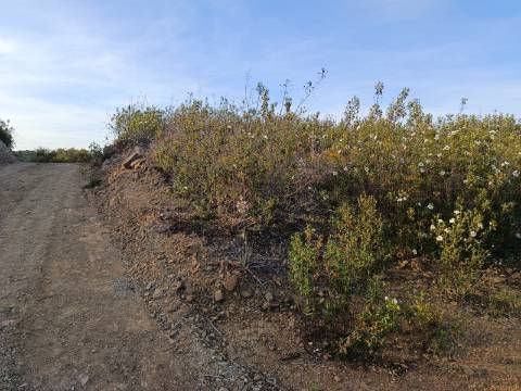 TERRENO RÚSTICO COM 19.280 M2 - VISTA LAGO - ALCARIAS GRANDES - CASTRO MARIM - ALGARVE