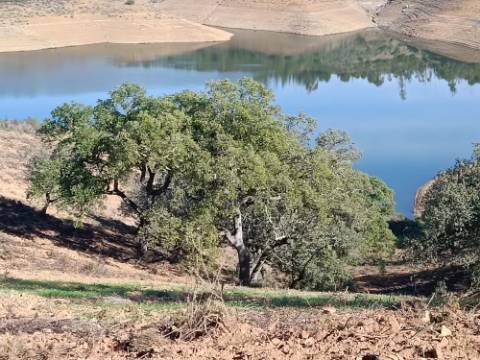 TERRENO RÚSTICO COM 19.280 M2 - VISTA LAGO - ALCARIAS GRANDES - CASTRO MARIM - ALGARVE