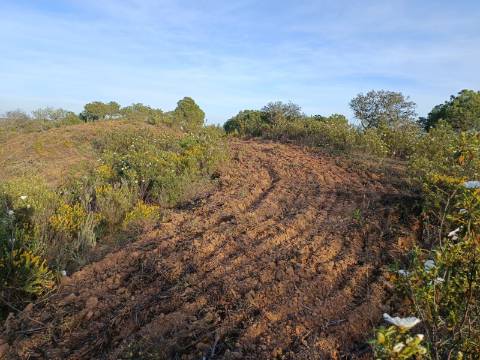 TERRENO RÚSTICO COM 19.280 M2 - VISTA LAGO - ALCARIAS GRANDES - CASTRO MARIM - ALGARVE