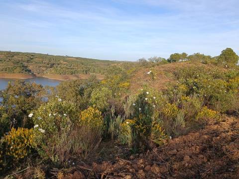 TERRENO RÚSTICO COM 19.280 M2 - VISTA LAGO - ALCARIAS GRANDES - CASTRO MARIM - ALGARVE