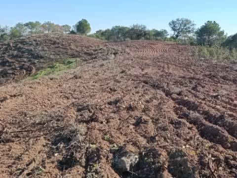 TERRENO RÚSTICO COM 19.280 M2 - VISTA LAGO - ALCARIAS GRANDES - CASTRO MARIM - ALGARVE
