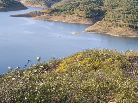 TERRENO RÚSTICO COM 19.280 M2 - VISTA LAGO - ALCARIAS GRANDES - CASTRO MARIM - ALGARVE
