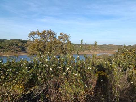 TERRENO RÚSTICO COM 19.280 M2 - VISTA LAGO - ALCARIAS GRANDES - CASTRO MARIM - ALGARVE