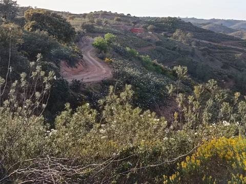 TERRENO RÚSTICO COM 19.280 M2 - VISTA LAGO - ALCARIAS GRANDES - CASTRO MARIM - ALGARVE