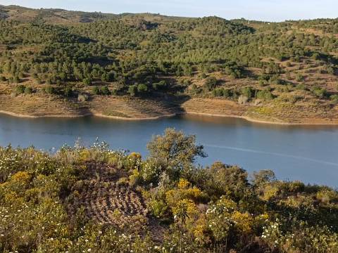 TERRENO RÚSTICO COM 19.280 M2 - VISTA LAGO - ALCARIAS GRANDES - CASTRO MARIM - ALGARVE