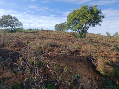 TERRENO RÚSTICO COM 19.280 M2 - VISTA LAGO - ALCARIAS GRANDES - CASTRO MARIM - ALGARVE
