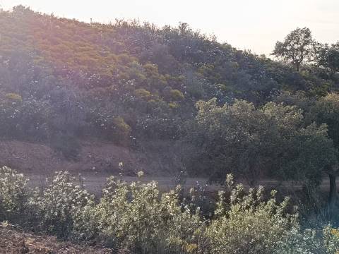 TERRENO RÚSTICO COM 19.280 M2 - VISTA LAGO - ALCARIAS GRANDES - CASTRO MARIM - ALGARVE