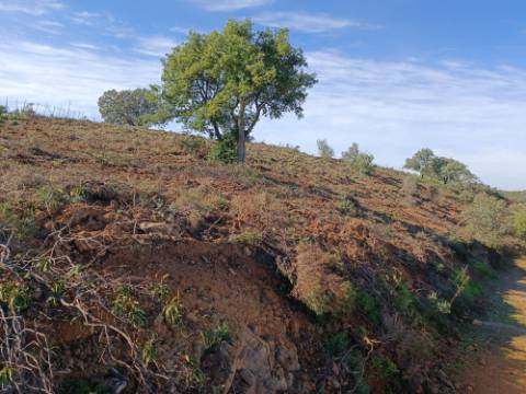 TERRENO RÚSTICO COM 19.280 M2 - VISTA LAGO - ALCARIAS GRANDES - CASTRO MARIM - ALGARVE