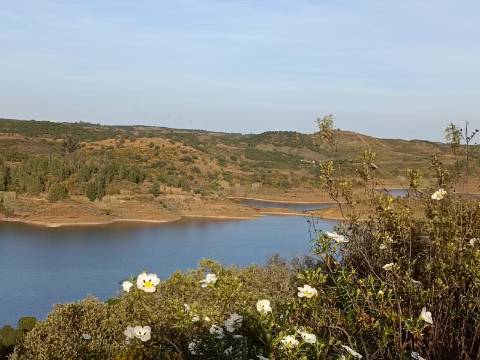 TERRENO RÚSTICO COM 19.280 M2 - VISTA LAGO - ALCARIAS GRANDES - CASTRO MARIM - ALGARVE