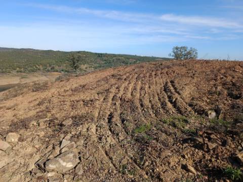 TERRENO RÚSTICO COM 19.280 M2 - VISTA LAGO - ALCARIAS GRANDES - CASTRO MARIM - ALGARVE