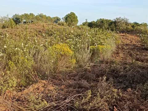 TERRENO RÚSTICO COM 19.280 M2 - VISTA LAGO - ALCARIAS GRANDES - CASTRO MARIM - ALGARVE