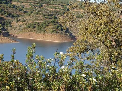 TERRENO RÚSTICO COM 19.280 M2 - VISTA LAGO - ALCARIAS GRANDES - CASTRO MARIM - ALGARVE