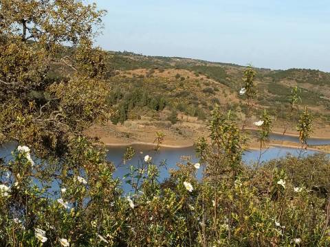 TERRENO RÚSTICO COM 19.280 M2 - VISTA LAGO - ALCARIAS GRANDES - CASTRO MARIM - ALGARVE