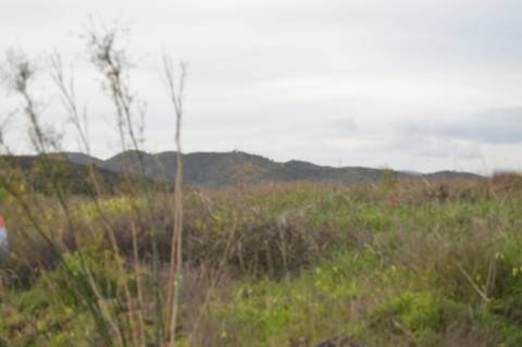 Terreno Rústico com 3.726m2 próximo de Tavira