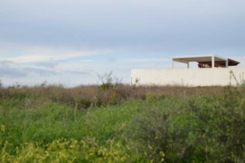 Terreno Rústico com 3.726m2 próximo de Tavira