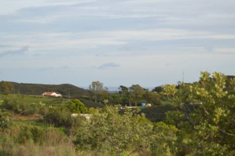 Terreno Rústico com 3.726m2 próximo de Tavira