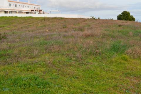 Terreno Rústico com 3.726m2 próximo de Tavira