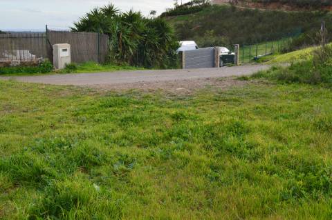 Terreno Rústico com 3.726m2 próximo de Tavira