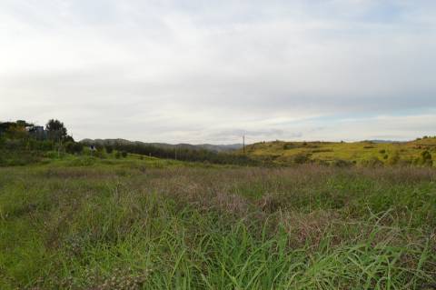 Terreno Rústico com 3.726m2 próximo de Tavira