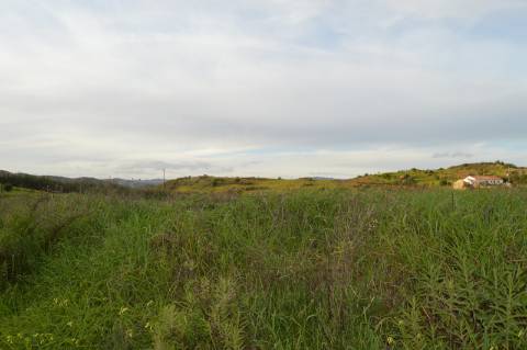 Terreno Rústico com 3.726m2 próximo de Tavira