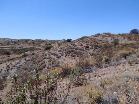 TERRENO COM 100.060 M2 - POSSIBILIDADE DE CONSTRUÇÃO - HABITAÇÃO E/OU TURISMO - JUNTO A BARRAGEM DA CAROUCHA - BOTELHAS - CASTRO MARIM - ALGARVE