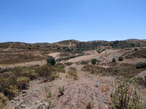 TERRENO COM 100.060 M2 - POSSIBILIDADE DE CONSTRUÇÃO - HABITAÇÃO E/OU TURISMO - JUNTO A BARRAGEM DA CAROUCHA - BOTELHAS - CASTRO MARIM - ALGARVE