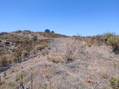 TERRENO COM 100.060 M2 - POSSIBILIDADE DE CONSTRUÇÃO - HABITAÇÃO E/OU TURISMO - JUNTO A BARRAGEM DA CAROUCHA - BOTELHAS - CASTRO MARIM - ALGARVE