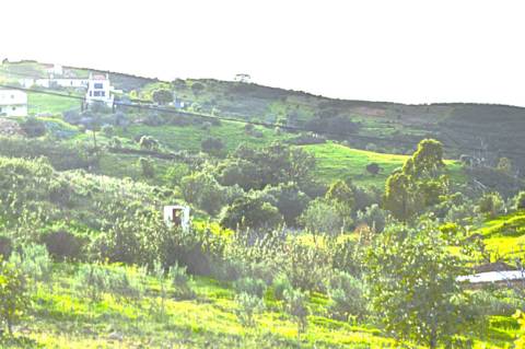 Terreno Rústico Próximo de Tavira