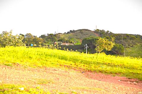 Terreno Rústico Próximo de Tavira