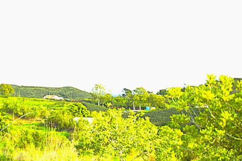 Terreno Rústico Próximo de Tavira