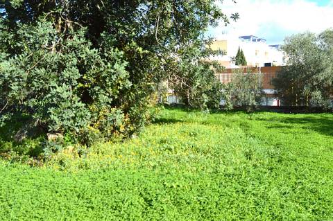 Terreno Urbano em Urbanização da Cidade de Tavira