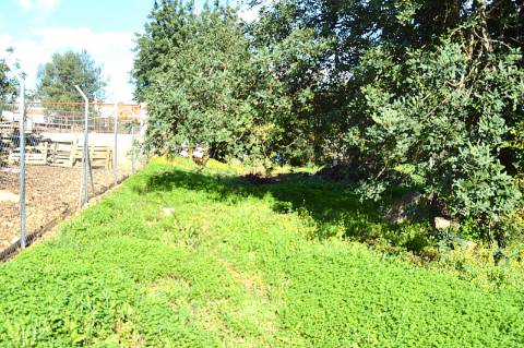 Terreno Urbano em Urbanização da Cidade de Tavira