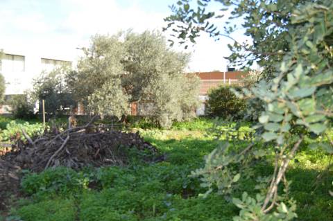Terreno Urbano em Urbanização da Cidade de Tavira