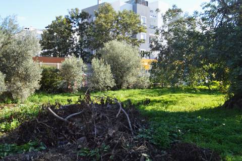 Terreno Urbano em Urbanização da Cidade de Tavira