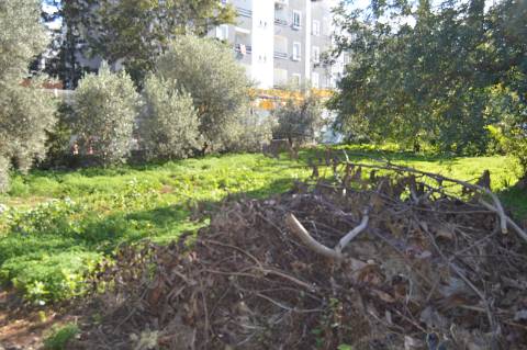 Terreno Urbano em Urbanização da Cidade de Tavira