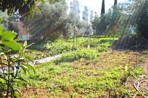 Terreno Urbano em Urbanização da Cidade de Tavira