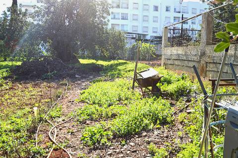 Terreno Urbano em Urbanização da Cidade de Tavira