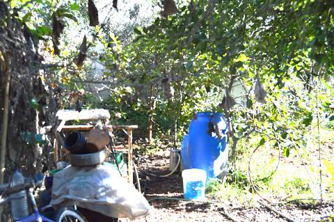 Terreno Urbano em Urbanização da Cidade de Tavira