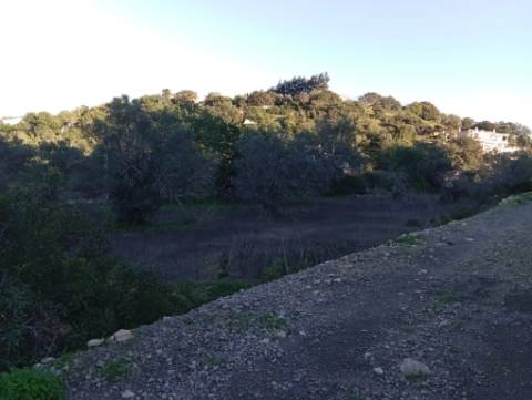 Terreno Rústico com bons acessos