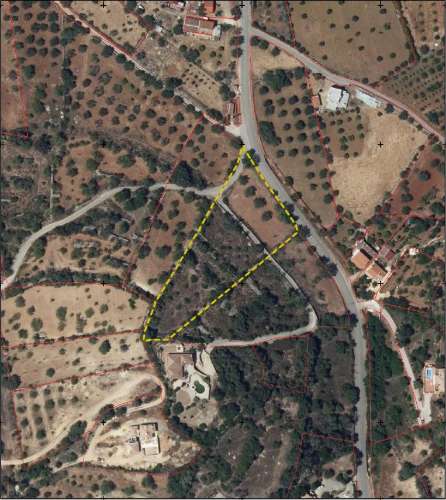 Terreno Rústico com bons acessos