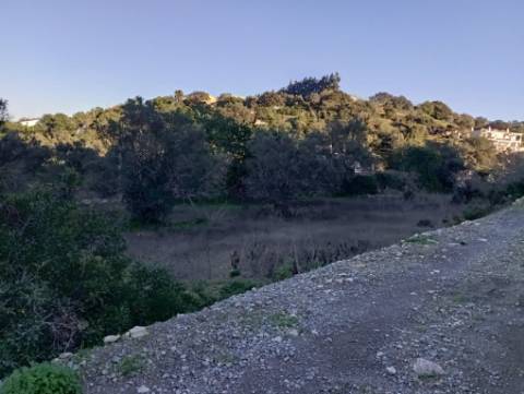 Terreno Rústico com bons acessos