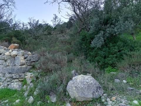 Terreno Rústico com bons acessos