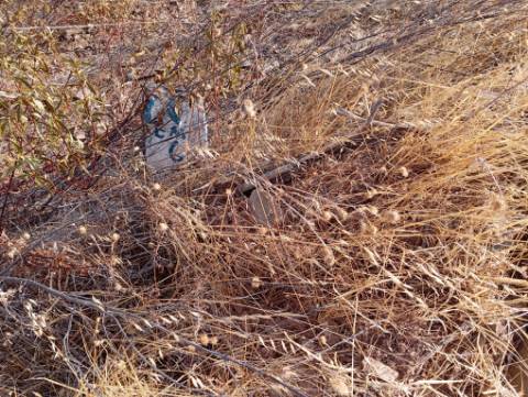 Terreno Rústico na serra de Conceição de Tavira
