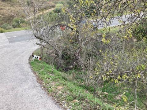 TERRENO RUSTICO COM 920 M2 - COM POÇO - NORA NOVA - ODELEITE - CASTRO MARIM - ALGARVE