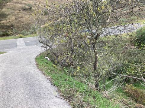 TERRENO RUSTICO COM 920 M2 - COM POÇO - NORA NOVA - ODELEITE - CASTRO MARIM - ALGARVE