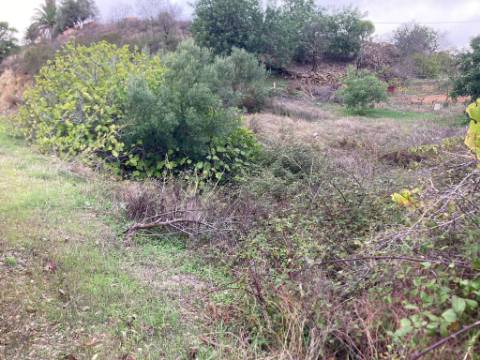 TERRENO RUSTICO COM 920 M2 - COM POÇO - NORA NOVA - ODELEITE - CASTRO MARIM - ALGARVE