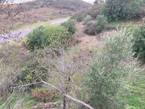 TERRENO RUSTICO COM 920 M2 - COM POÇO - NORA NOVA - ODELEITE - CASTRO MARIM - ALGARVE