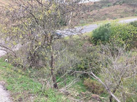 TERRENO RUSTICO COM 920 M2 - COM POÇO - NORA NOVA - ODELEITE - CASTRO MARIM - ALGARVE